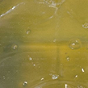 画像2: モナミ 7種類の保湿成分配合 弱酸性 ボディソープ 業務用 1L 無香料 20本入り (2)