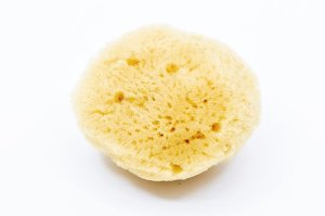 画像2: 天然海綿 5個入り 3〜5cmのアソート (サイズは選べません)(お一人様3点までとなります。) (2)