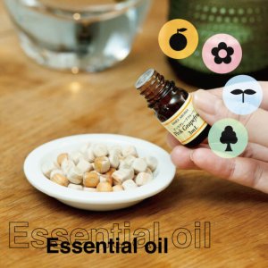 画像2: ディリーアロマ ヒノキ ミニ 3ml (2)