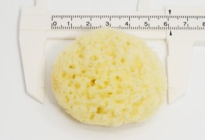 画像4: 天然海綿  10個入り 3〜5cmのアソート (サイズは選べません) (4)