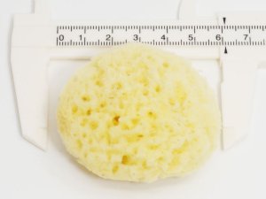 画像3: 天然海綿  10個入り 3〜5cmのアソート (サイズは選べません) (3)