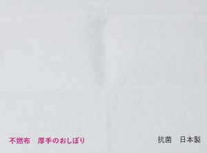 画像4: 抗菌おしぼり フジクリーン 平 185×275mm 抗菌 日本製 500枚入り (4)