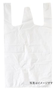 画像1: フジバックエコノミー　No8　 160(+100)W260×H360mm 乳白色　100枚入り (1)
