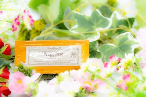 画像2: 口臭の元が見える!!新感覚マウスウオッシュ! 業務用 プロポリンス 12ml 100個 携帯に便利な平袋個包装 飲食店様のサービスに! (2)